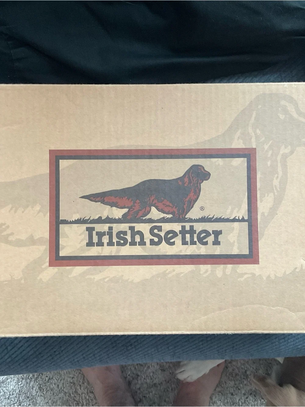 Irish Setter Men's Brown Leather Slip-On Moc Toe Casual Shoe